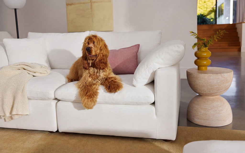 Cloud Couch 5-Seater Modular Sectional | White